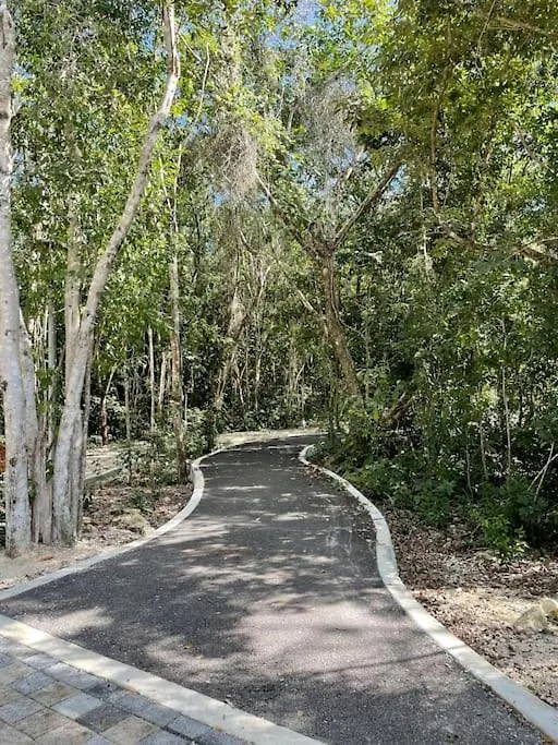 Apartament Comodidad Y Tranquilidad Ciudad Mayakoba Playa del Carmen Meksyk